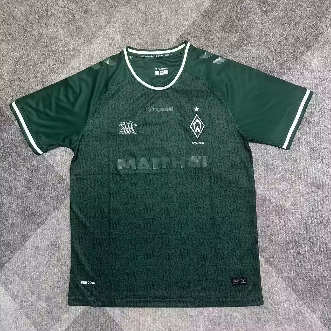 Werder Bremen Special Edition 2025/2026 Fan Version Football Jersey