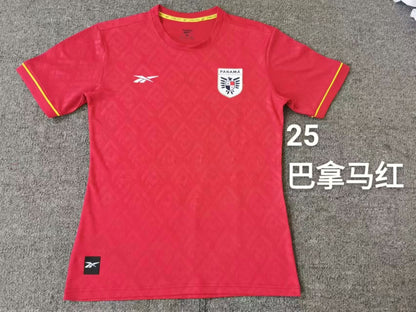 Panama Special Edition 2024/2025 Fan Version Football Jersey