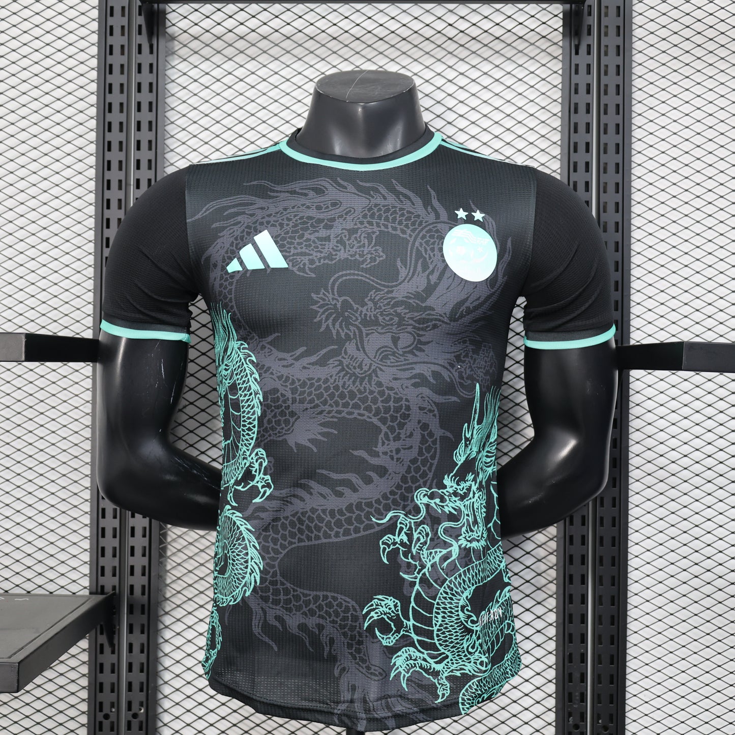 Algeria 2025 Player Version Football Jersey