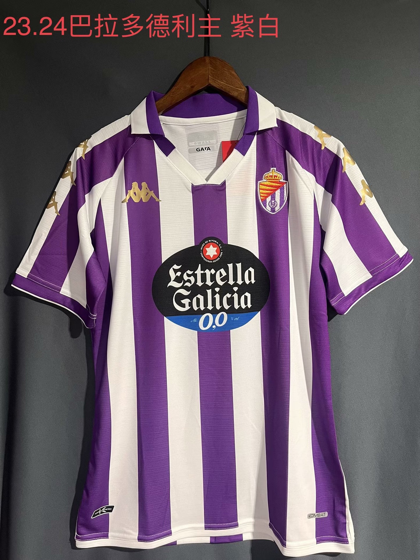R. Valladolid CF 2023/2024 Home Fan Version Football Jersey