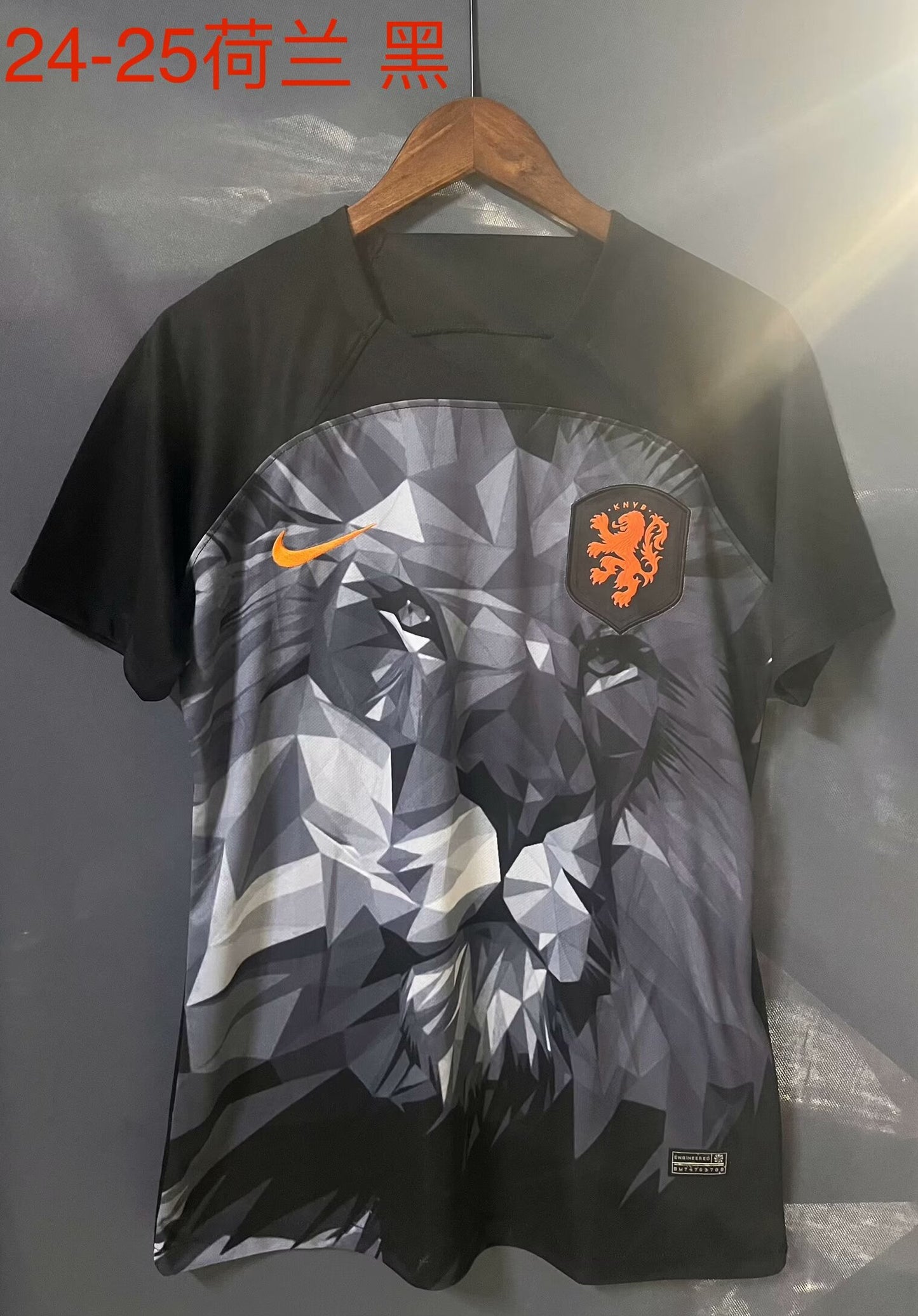Netherlands Special Edition 2024/2025 Fan Version Football Jersey