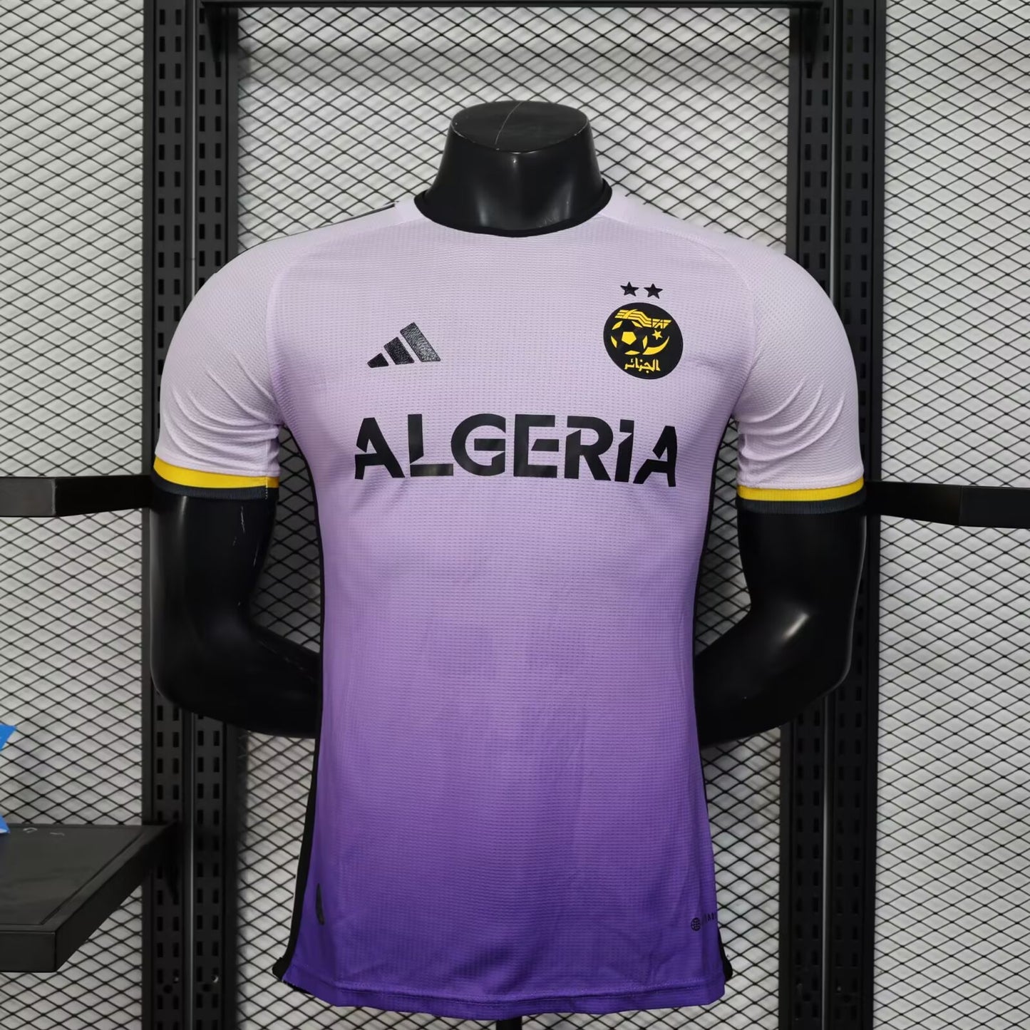 Algeria 2025 Player Version Football Jersey