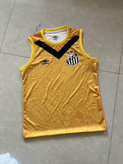 Santos 2024/2025 Fan Version Football Jersey