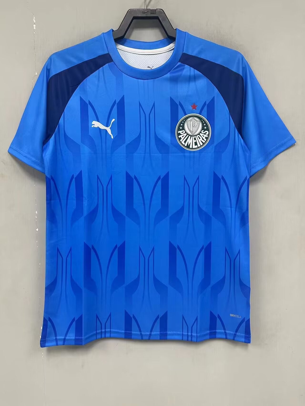 Palmeiras 2024/2025 Fan Version Tracksuit