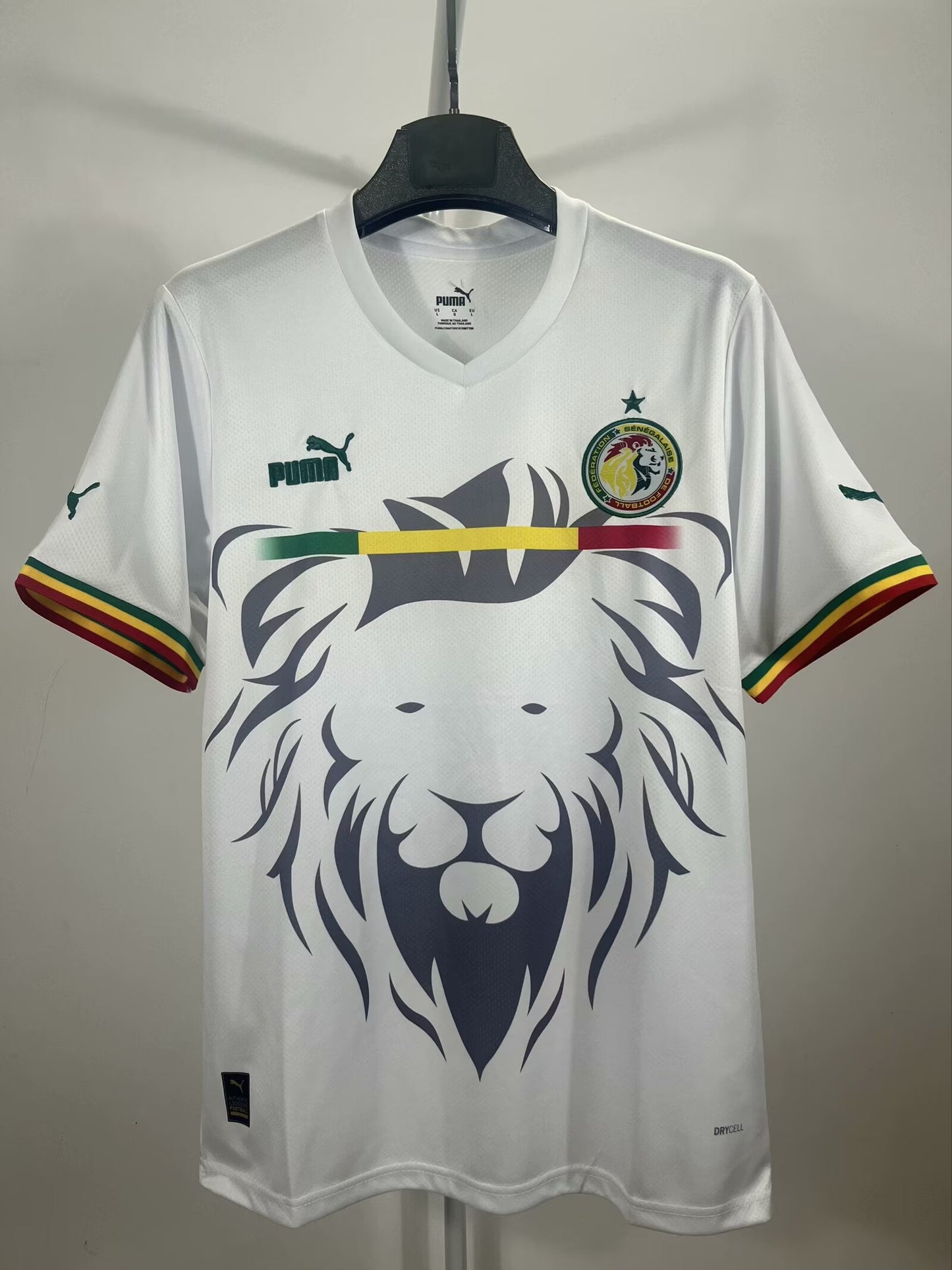 Senegal Special Edition 2023/2024 Fan Version Football Jersey