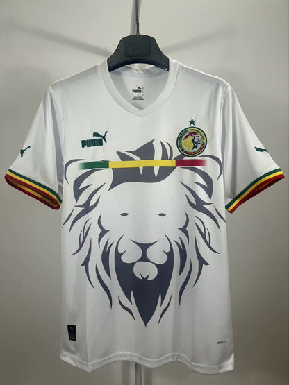 Senegal Special Edition 2023/2024 Fan Version Football Jersey