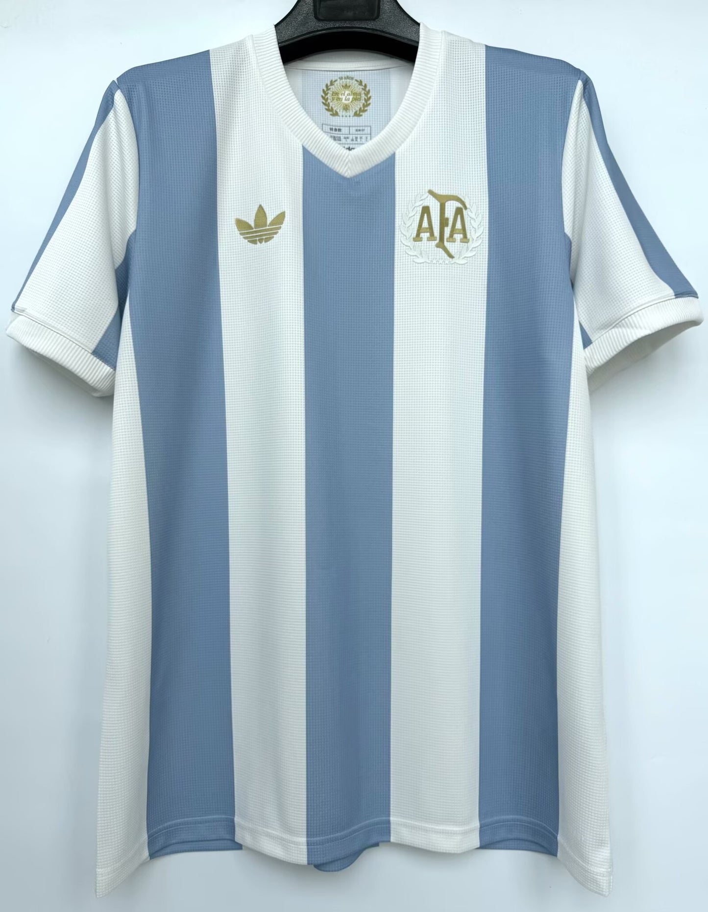 Argentina 2024/2025 Fan Version Football Jersey