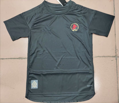 Aston Villa 2024/2025 Fan Version Football Jersey