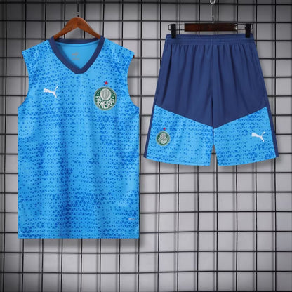 Palmeiras 2024/2025 Tracksuit