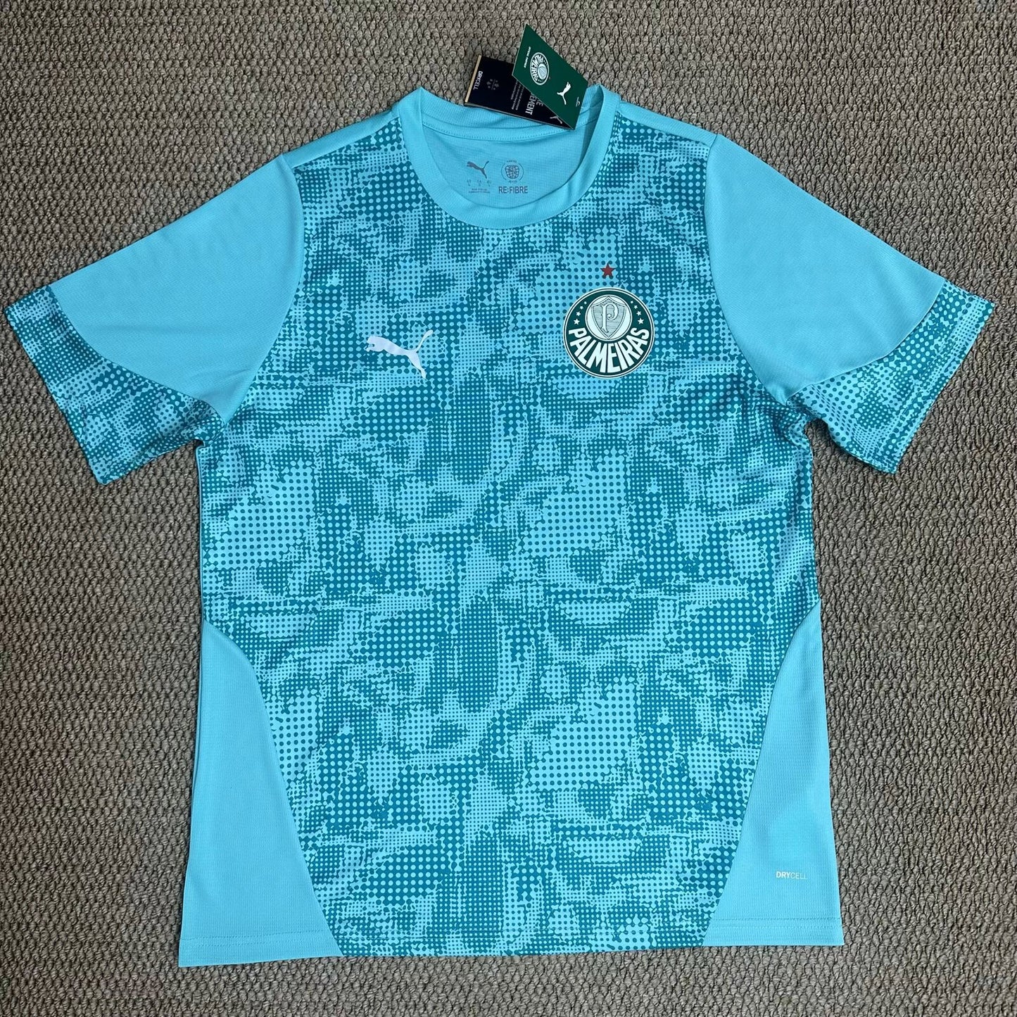 Palmeiras Training Special Jersey 2026-2027