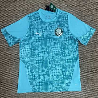 Palmeiras Training Special Jersey 2026-2027