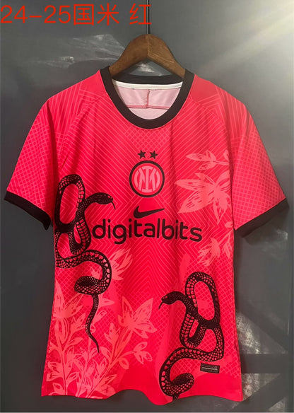 Inter Milan Special Edition 2024/2025 Fan Version Football Jersey