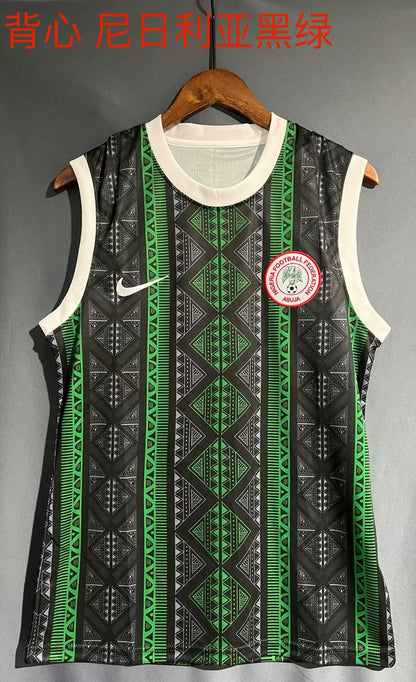 Nigeria Special Edition 2023/2024 Fan Version Football Jersey