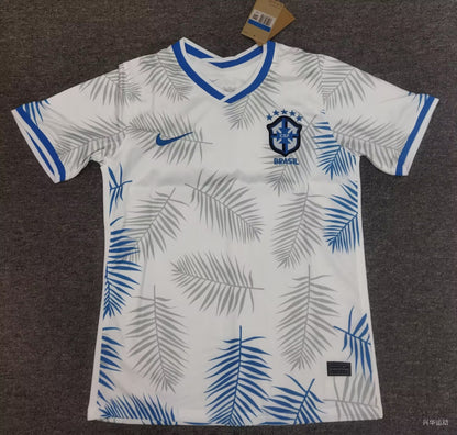 Brazil Special Edition 2024/2025 Fan Version Football Jersey