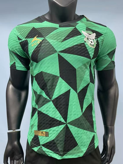 other team 2025/2026 Home Player Version Football Jersey