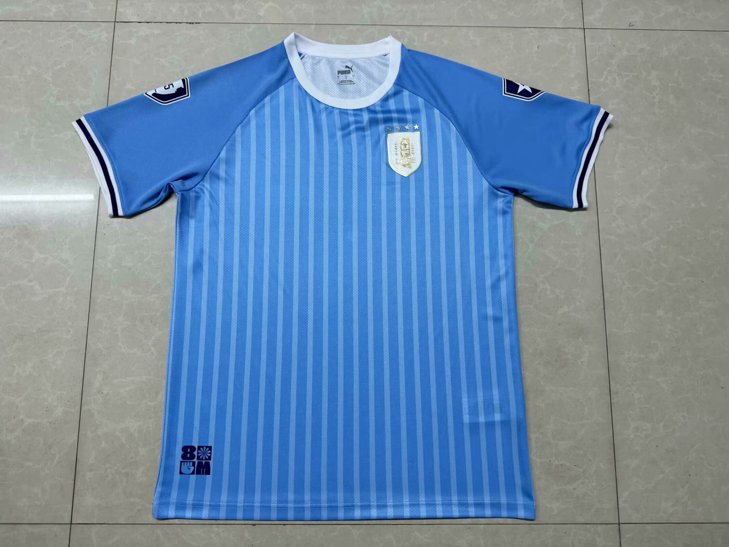 Uruguay Special Edition 2024/2025 Fan Version Football Jersey