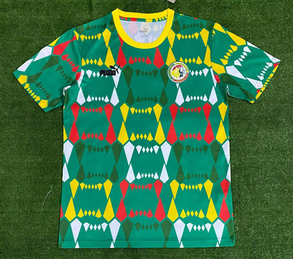 Senegal 2023/2024 Fan Version Tracksuit