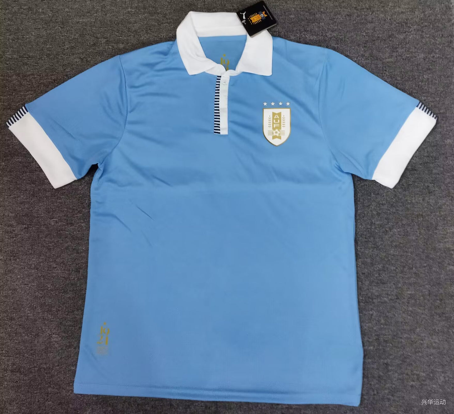 Uruguay 2023/2024 Home Fan Version Football Jersey