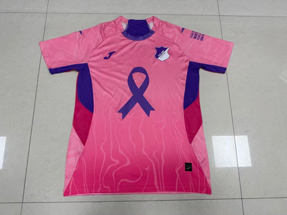 Hoffenheim Special Edition 2025/2026 Fan Version Football Jersey