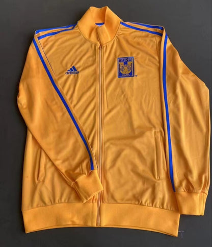 tiger 2023/2024 Home Fan Version Jacket