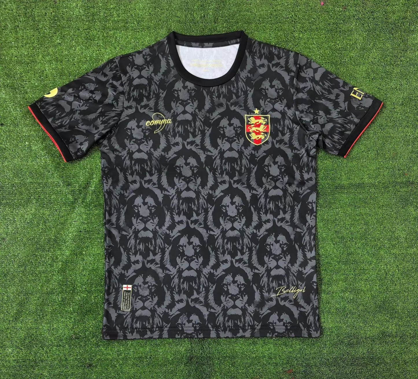 England Special Edition 2024/2025 Fan Version Football Jersey