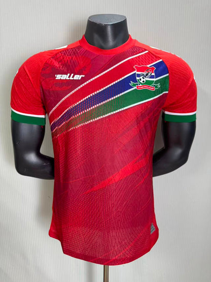 Gambia 2026/2027 Away Player Version Football Jersey