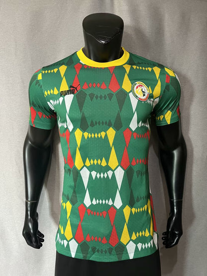 Senegal 2023/2024 Away Player Version Football Jersey