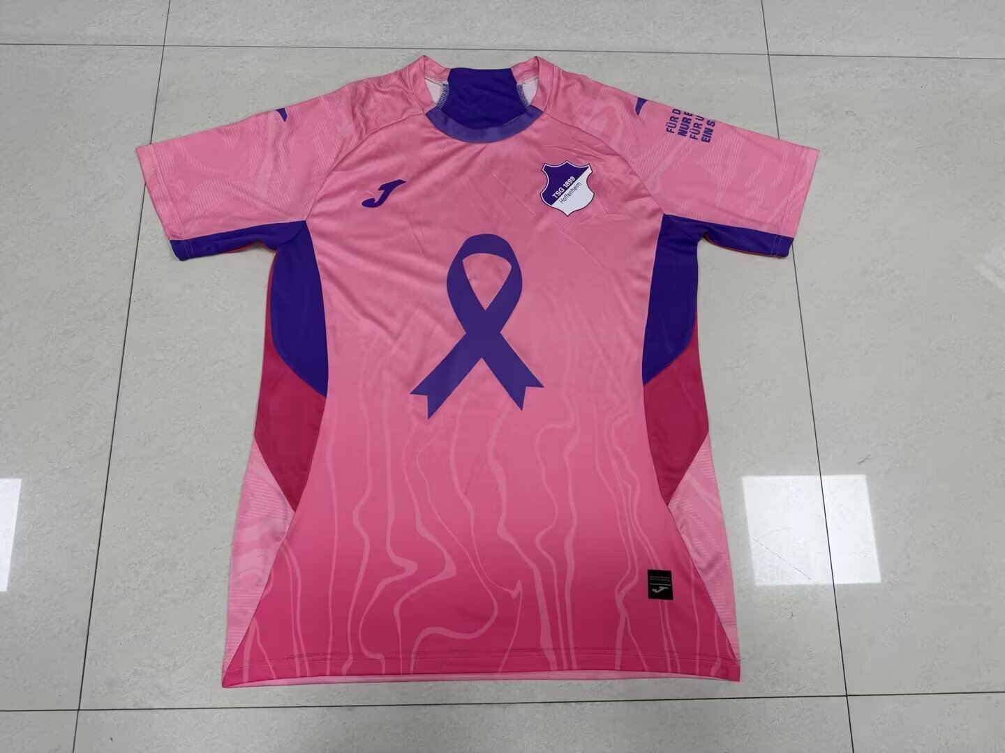 Hoffenheim Special Edition 2025/2026 Fan Version Football Jersey