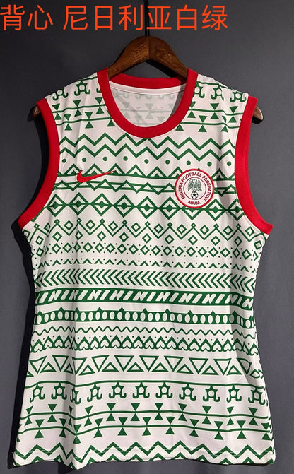 Nigeria Special Edition 2023/2024 Fan Version Football Jersey