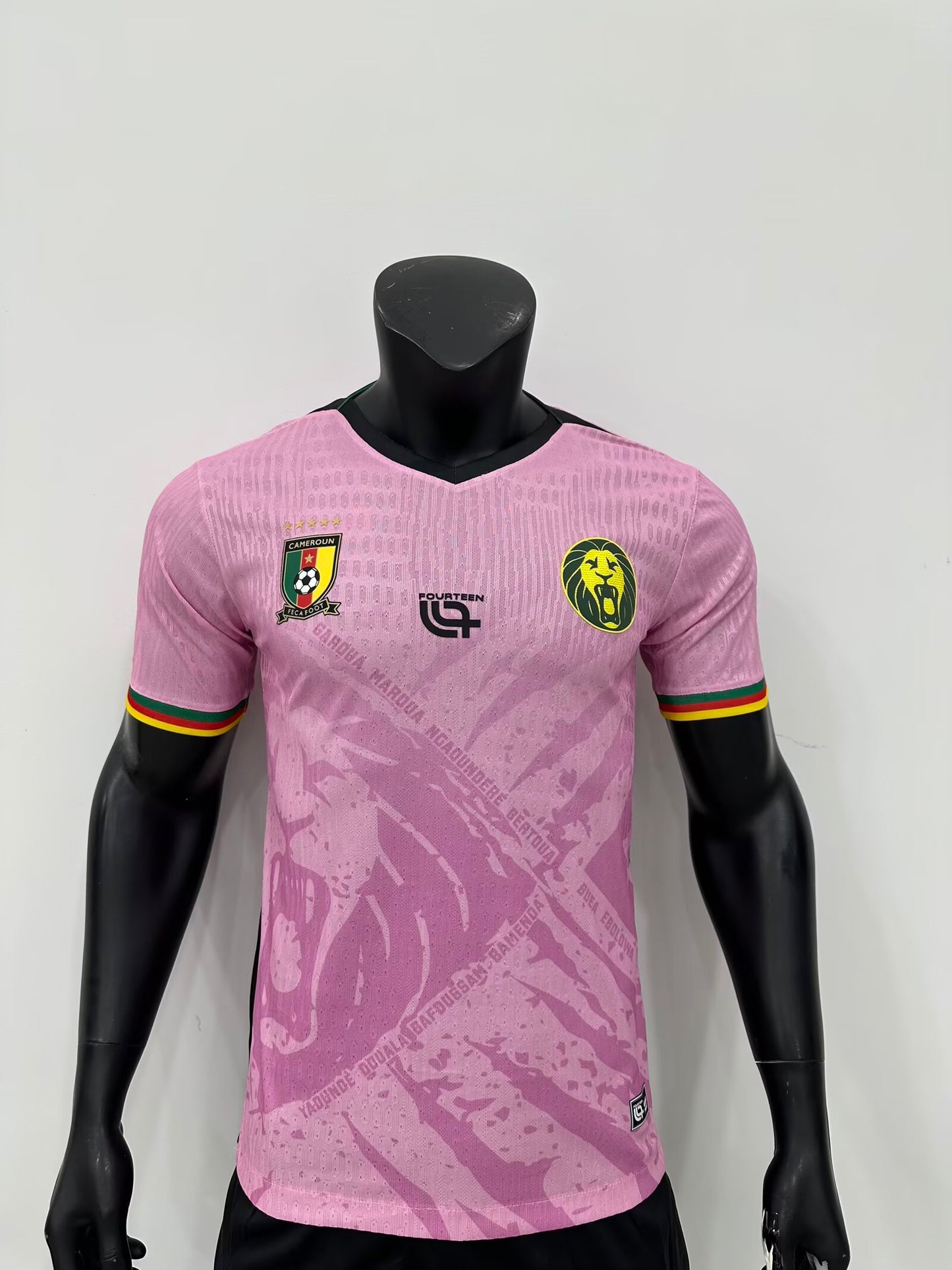 Cameroon Special Edition 2025/2026 Player Version Football Jersey