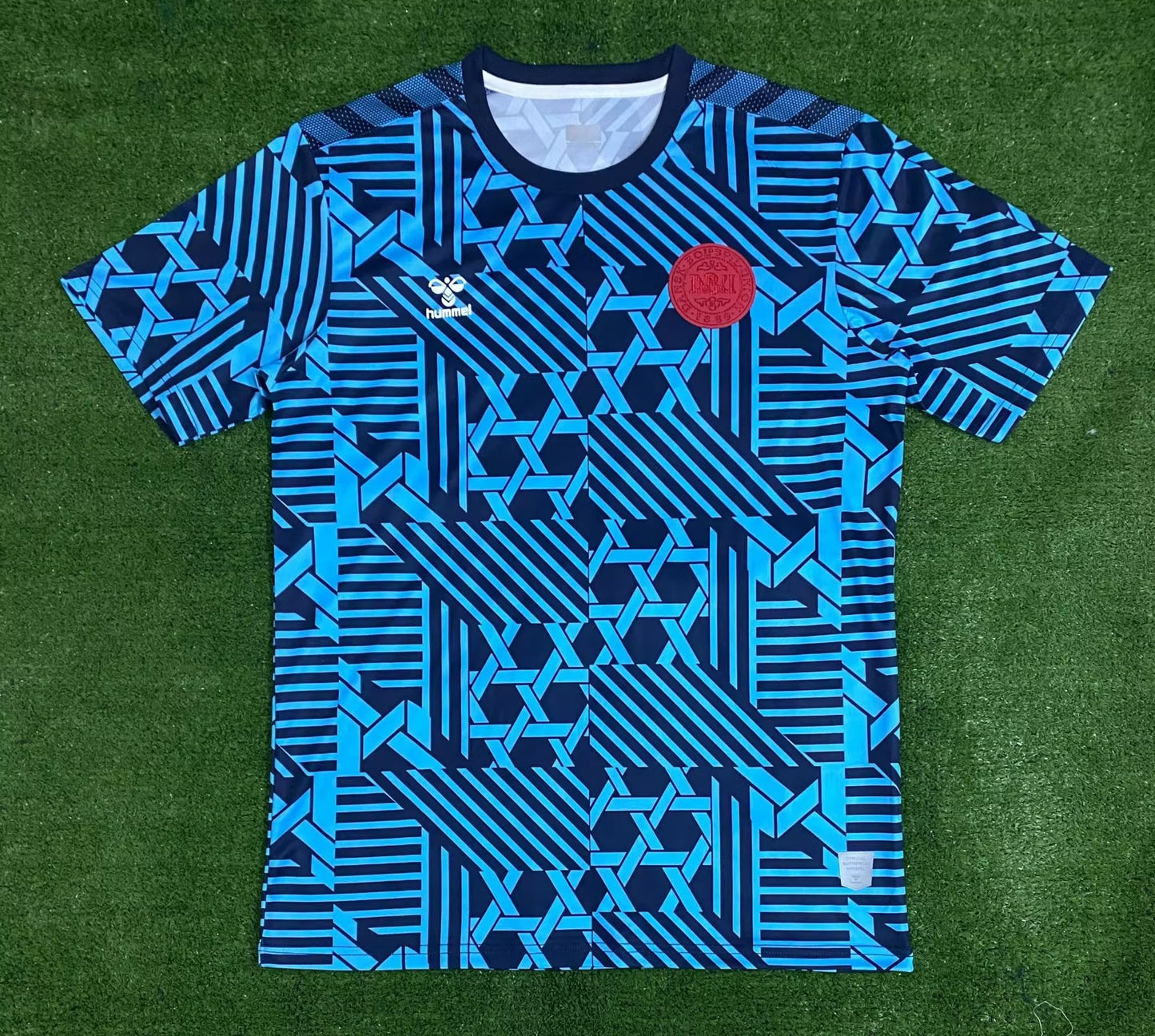 Denmark 2023/2024 Fan Version Tracksuit