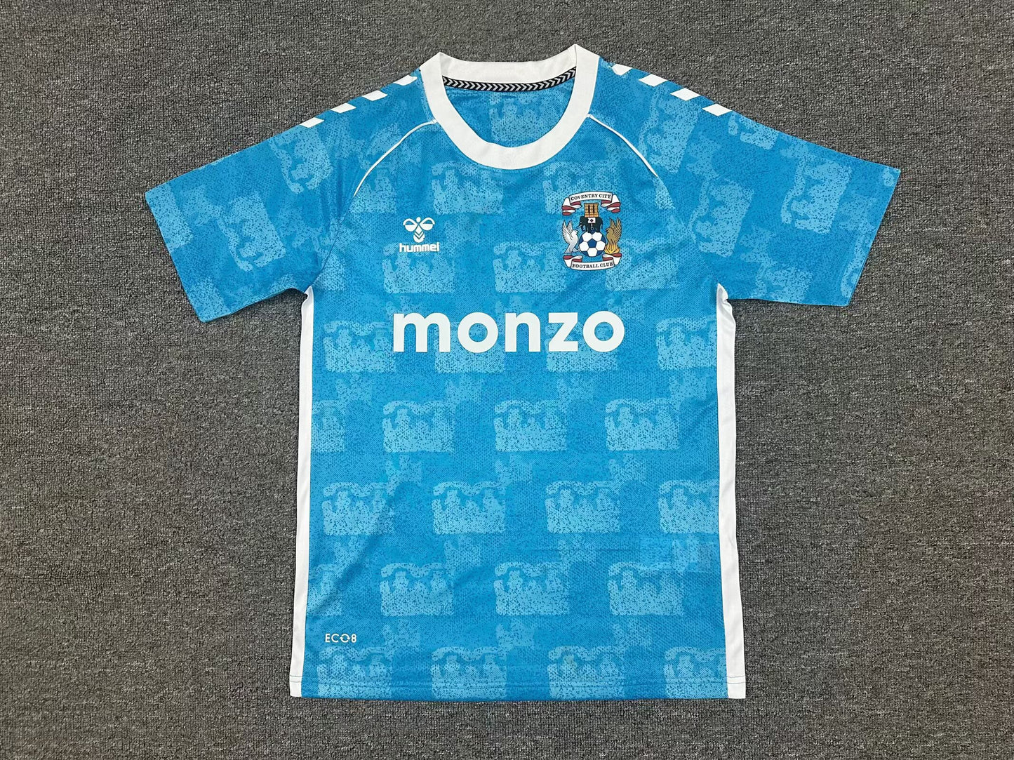 Coventry City 2025/2026 Home Fan Version Football Jersey