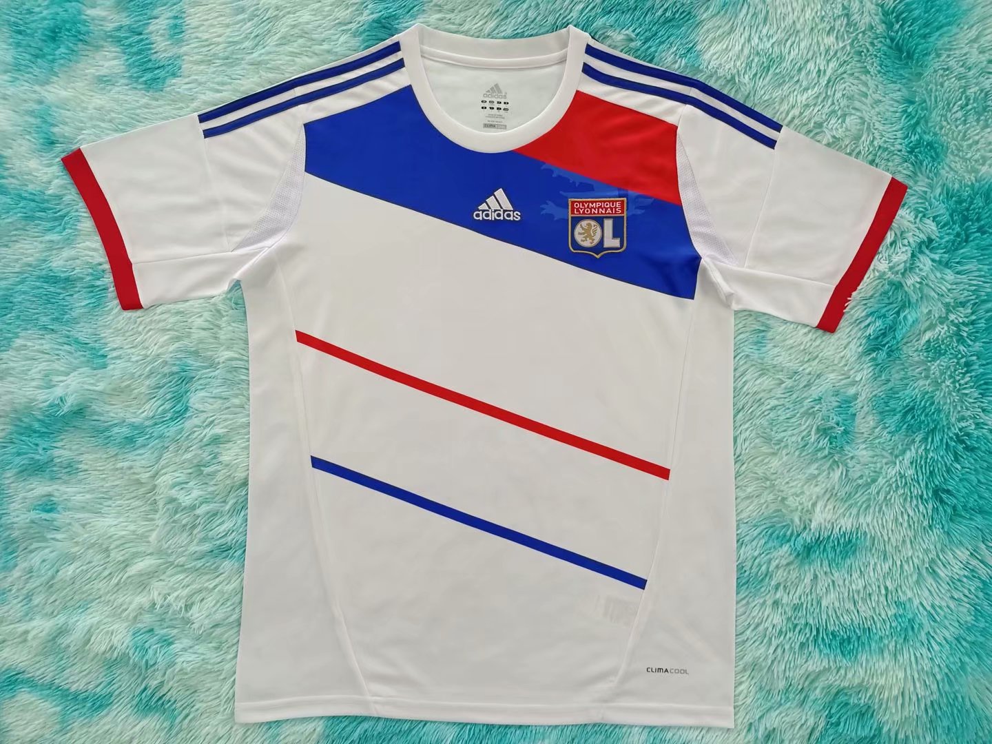 Retro Lyon 2012/2013 Home Fan Version Football Jersey
