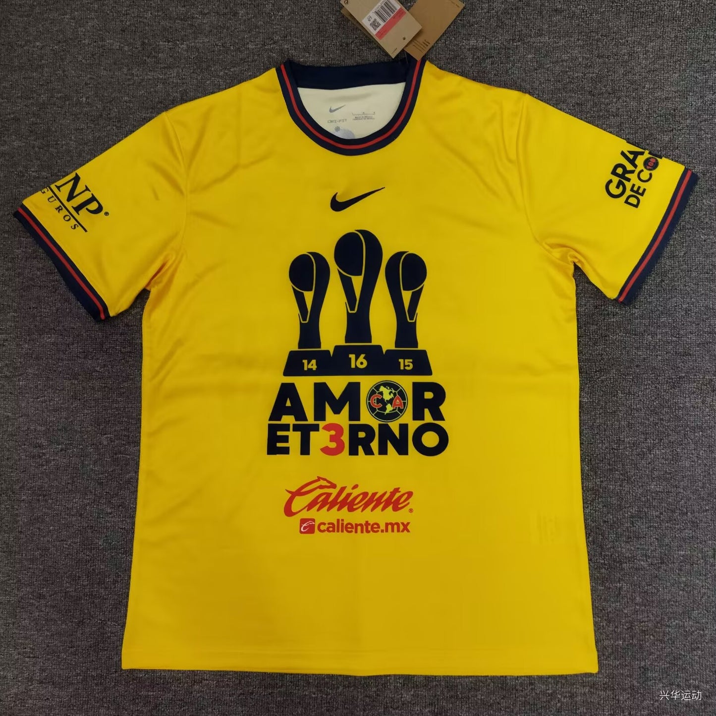 Club America 2024/2025 Fan Version Football Jersey