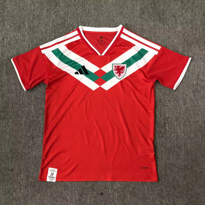 Wales Special Edition 2026/2027 Fan Version Football Jersey