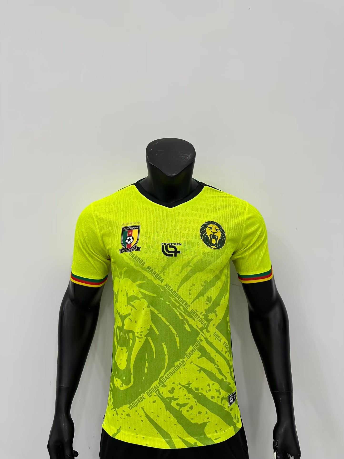 Cameroon Special Edition 2025/2026 Player Version Football Jersey