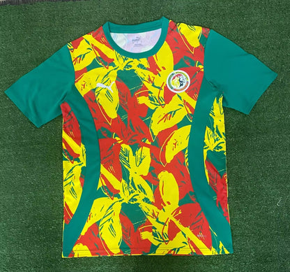 Senegal Special Edition 2024/2025 Fan Version Football Jersey