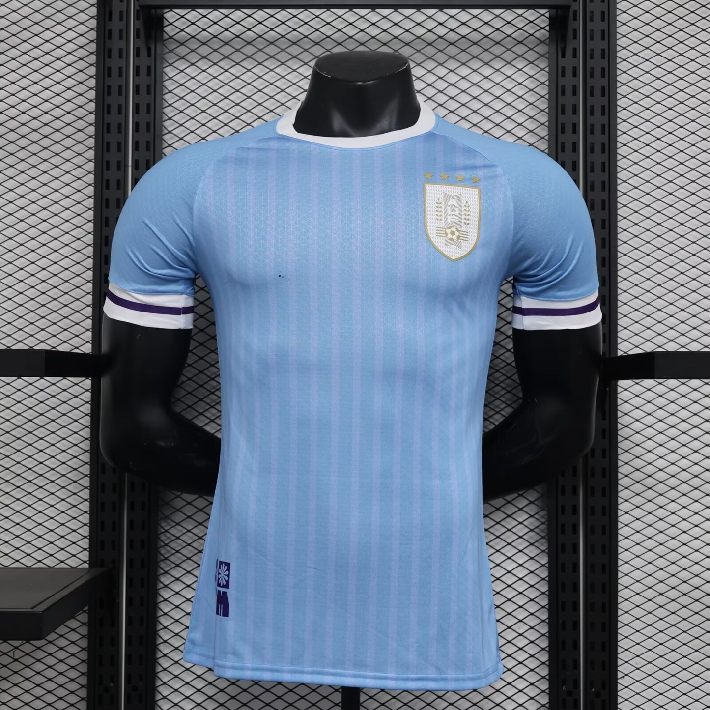 Uruguay Special Edition 2024/2025 Player Version Football Jersey
