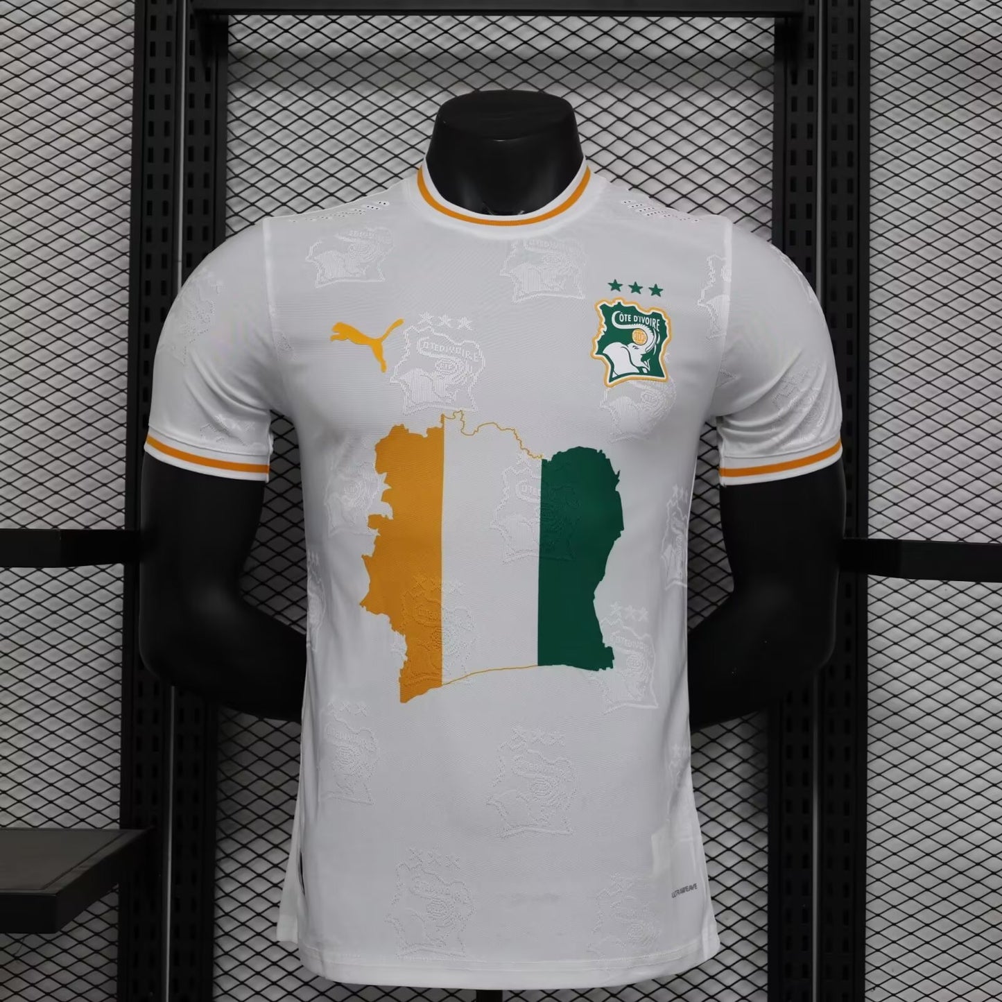 other team Special Edition 2024/2025 Player Version Football Jersey