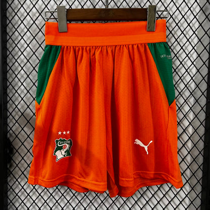 Ivory Coast 2026/2027 Home Player Version Football Jersey