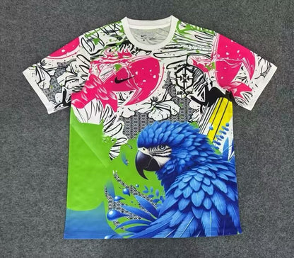 Brazil Special Edition 2025/2026 Fan Version Football Jersey