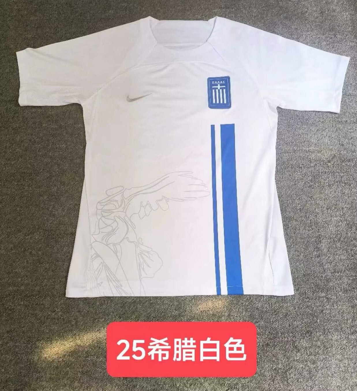 Slovenia 2024/2025 Home Fan Version Football Jersey