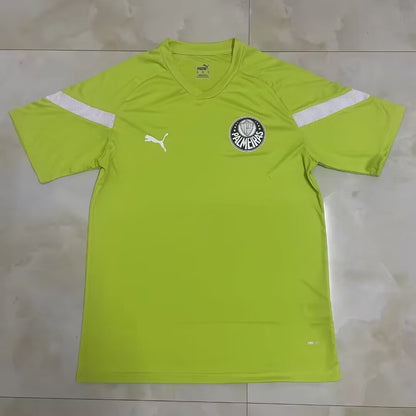 Palmeiras 2023/2024 Fan Version Tracksuit