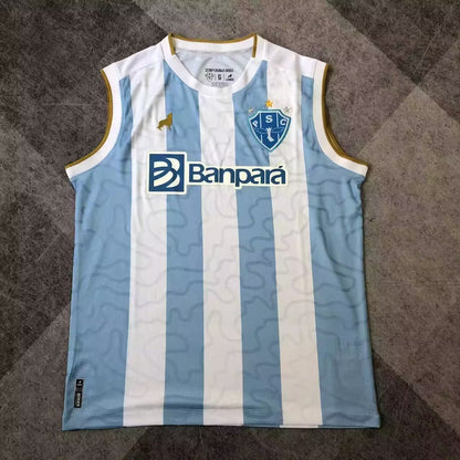 Brazil 2025/2026 Fan Version Football Jersey