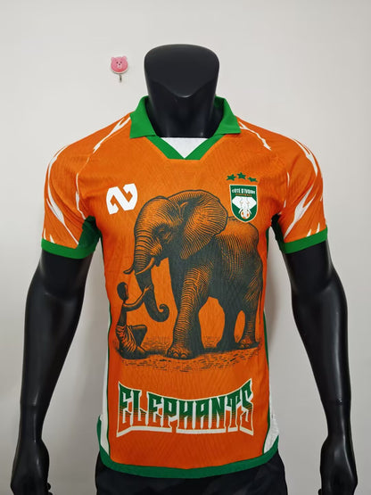 Ivory Coast Special Edition 2025/2026 Player Version Football Jersey