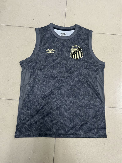 Santos 2024/2025 Fan Version Football Jersey