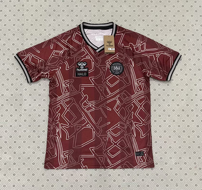 Denmark Special Edition 2024/2025 Fan Version Football Jersey