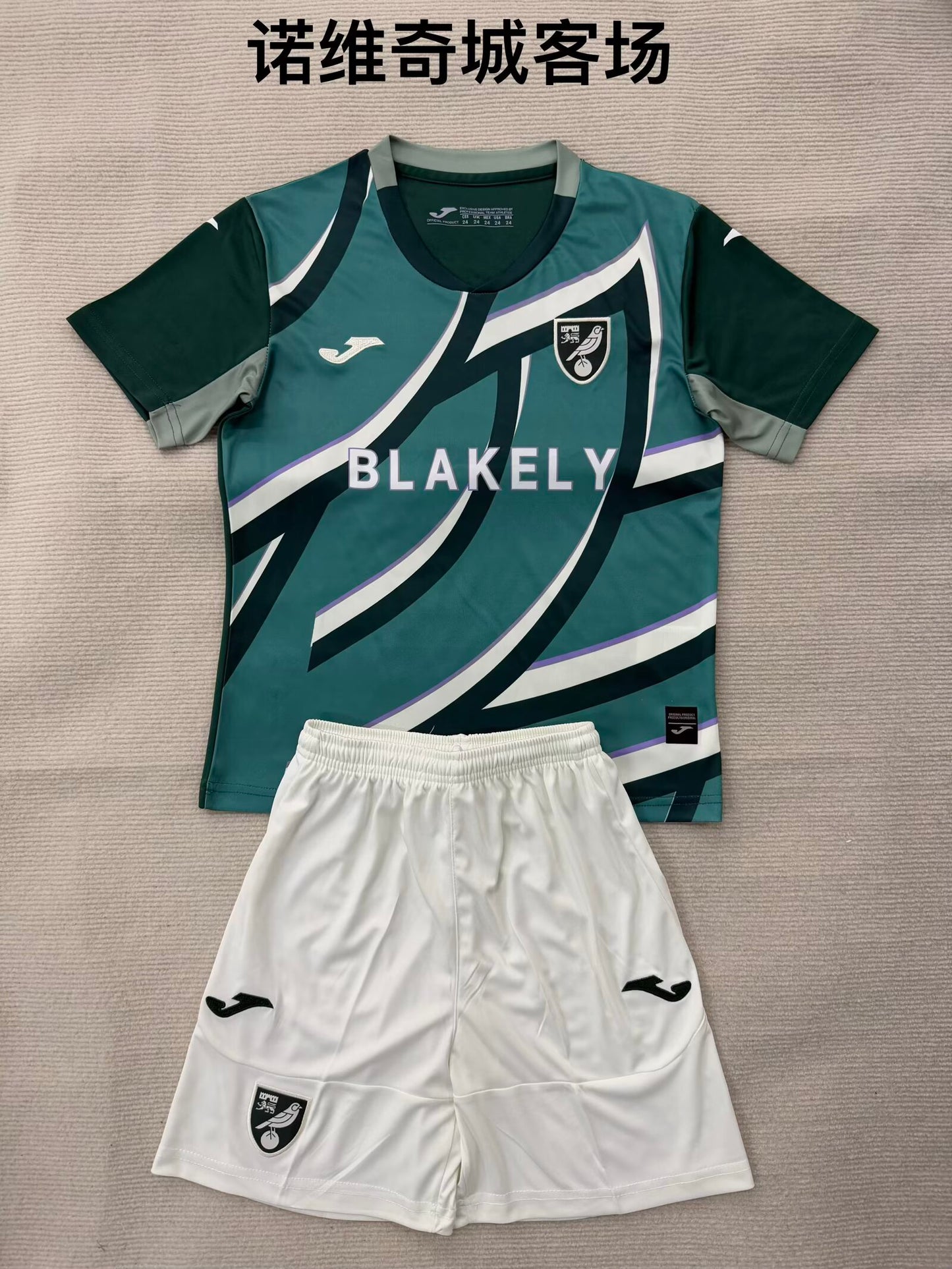 Premier- league 2025/2026 Kids Away Football Jersey