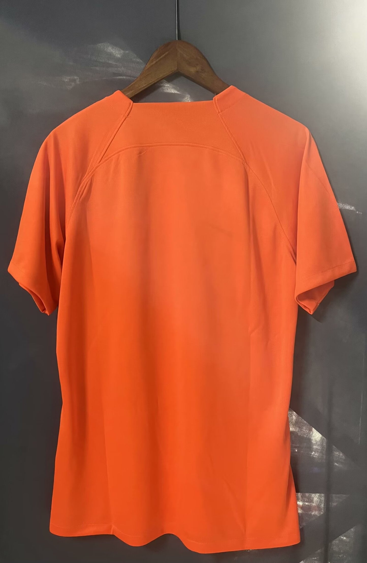 Netherlands Special Edition 2024/2025 Fan Version Football Jersey