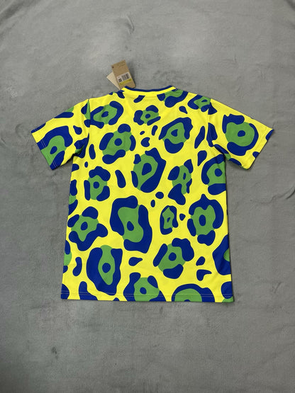 Brazil 2024/2025 Fan Version Tracksuit